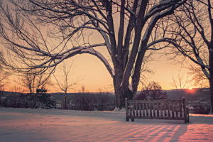 sunrise and snow